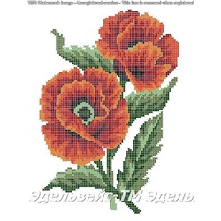 Эдельвейс - Творческая Мастерская Маков цвет, 30х40 см.